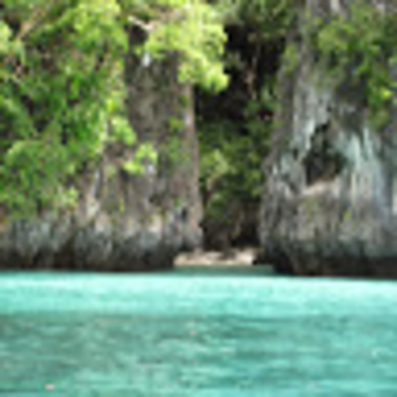 Meet your Posher, Richard - Picture 1 of 1